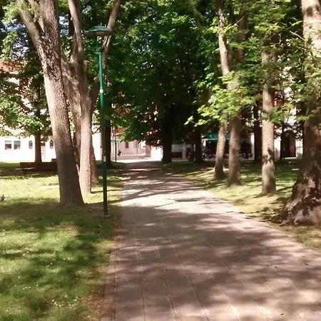 Ca' Giulia - Biennale - Free Wifi Fiber Венеция